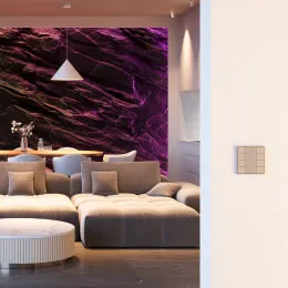 Кнопочные панели в алюминиевом корпусе серия DALI