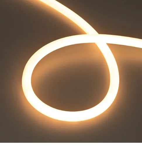 Фото #3 товара MOONLIGHT D13 Трос