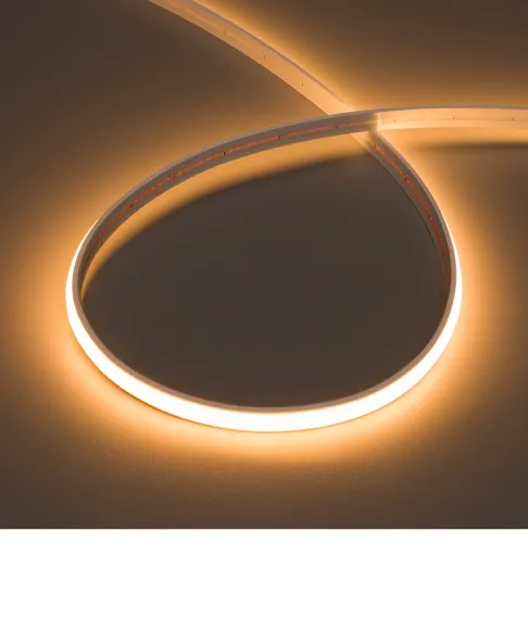 Фото #4 товара MOONLIGHT 10x5