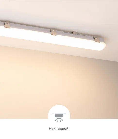 Фото #1 товара DALLAS