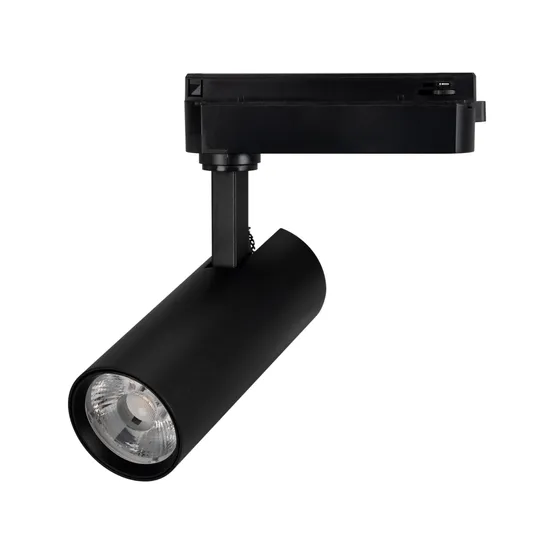 Фото #1 товара Светильник LGD-GERA-2TR-R55-10W Day4000 (BK, 24 deg, 230V) (Arlight, IP20 Металл, 5 лет)