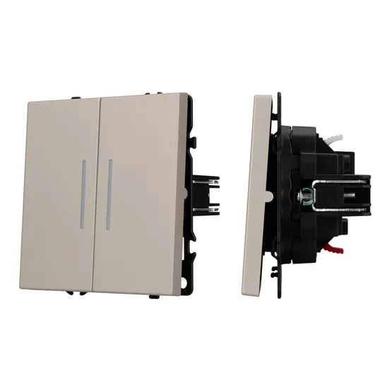 Фото #1 товара Механизм выключателя двухклавишный непроходной LED SWT-NOBE-MK02-SFPL-L-CA (230V, 10A) (Arlight, Кашемир)