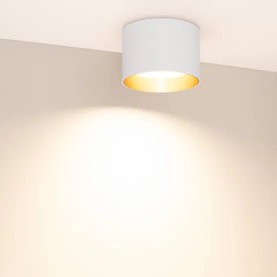 Фото #5 товара Светильник SP-BISCOTTO-R120-12W Warm3300-MIX (WH-GD, 80 deg, 230V) (Arlight, IP54 Металл, 5 лет)