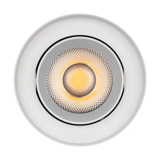 Фото #2 товара Светильник SP-FOCUS-R132-24W Day4000 (WH, 36 deg, 230V) (Arlight, IP54 Металл, 5 лет)