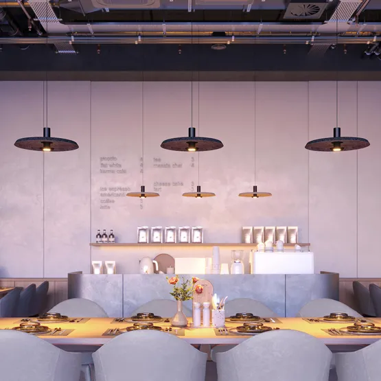 Фото #5 товара Светильник SP-KOTARO-R450-12W Warm2700 (BK-GR, 36 deg, 230V, TRIAC) (Arlight, IP20)