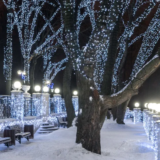 Фото #3 товара Светодиодная гирлянда ARD-STRING-CLASSIC-10000-WHITE-100LED-MILK-FLASH White (230V, 7W) (Ardecoled, IP65)