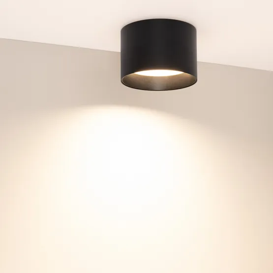 Фото #5 товара Светильник SP-BISCOTTO-R120-12W Warm3300-MIX (BK, 80 deg, 230V) (Arlight, IP54 Металл, 5 лет)