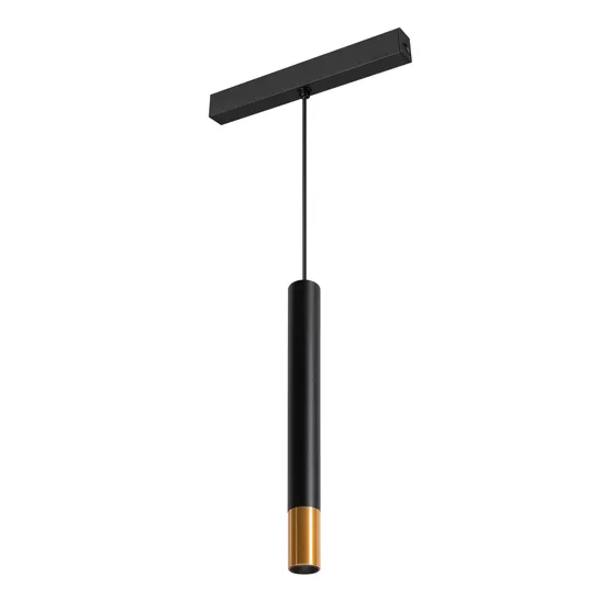 Фото #1 товара Светильник MAG-SPOT-HANG-25-R30-5W Day4000 (BK-GD, 45 deg, 24V) (Arlight, IP20 Металл, 5 лет)