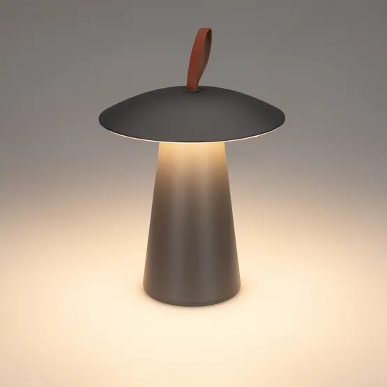 Фото #10 товара Светильник SP-PATIO-TAB-2W Warm3000 (BK, 127 deg) (Arlight, IP54 Металл, 2 года)