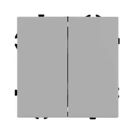 Фото #2 товара Механизм выключателя двухклавишный проходной SWT-NOBE-MKP2-SFPL-IS (230V, 10A) (Arlight, Никель)