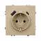Минифото #2 товара Механизм розетки с USB зарядкой SCT-NOBE-MUAC-SFPL-GD (230V, 16A) (Arlight, Золотой песок)