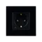 Минифото #2 товара Розетка электрическая с Zigbee управлением SCT-OMALI-EUZB1-PL-BK (240V, 16A, Zigbee) (Arlight, -)